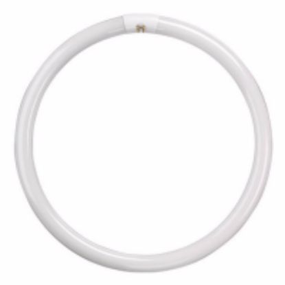 Show details for T9 Circular Triphosphor G10q 40W 400mm Picture of T9 Circular Triphosphor G10q 40W 400mm